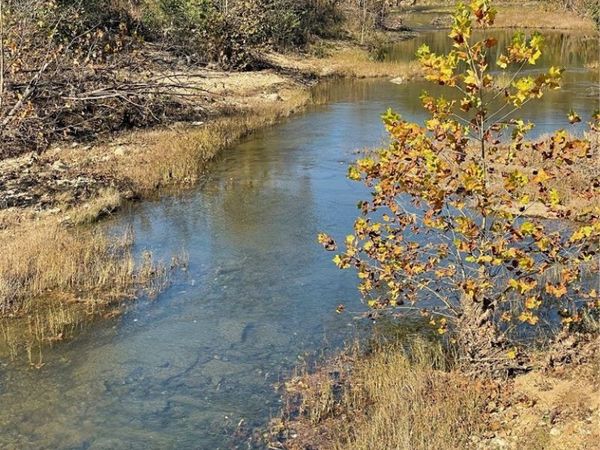 TBD Highway 103 , Green Forest, AR 72638