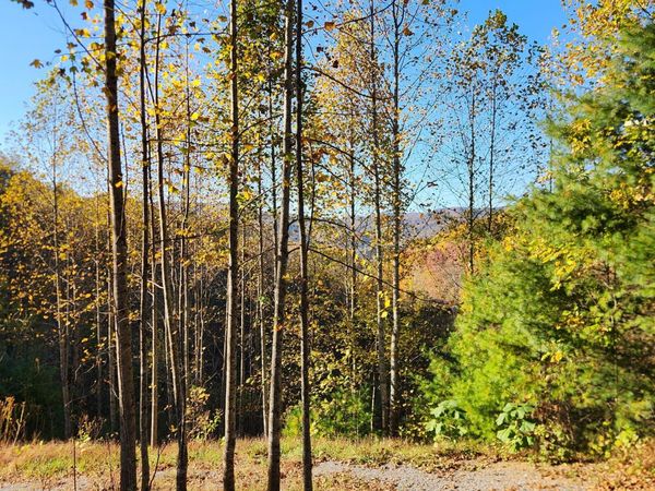 129 Oaks Road, Unicoi, TN 37692