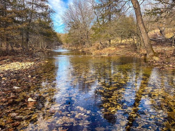 Tbd Palmer Road, Theodosia, MO 65761