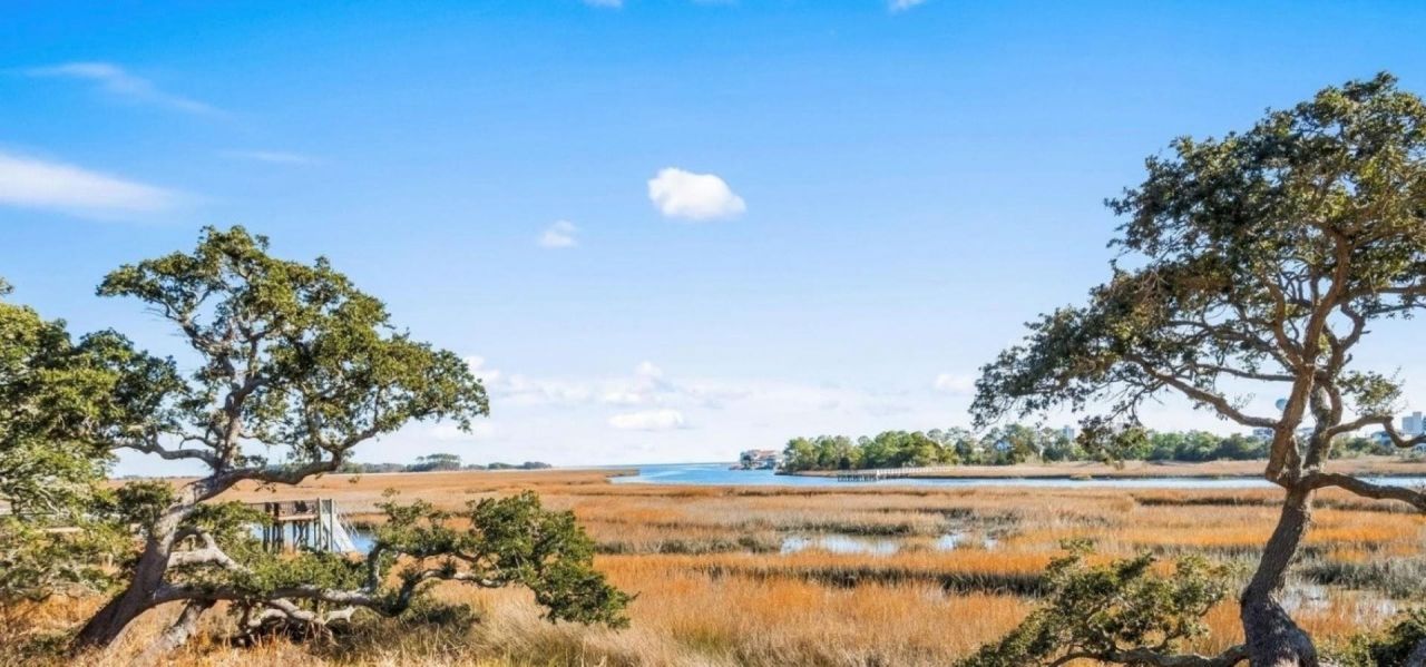 4827 Bucks Bluff Dr. Photo 60