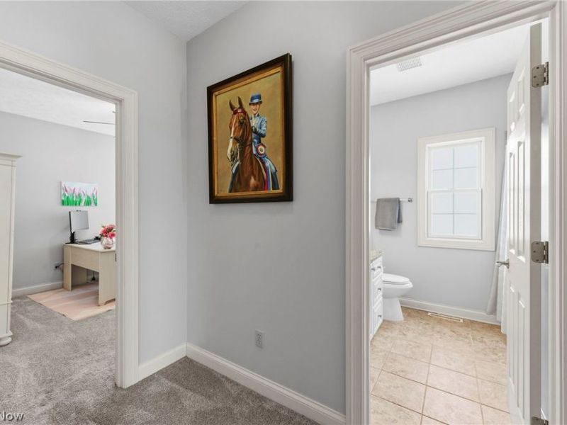 1247 Willow Bend Drive , Medina, OH 44256 Photo 24