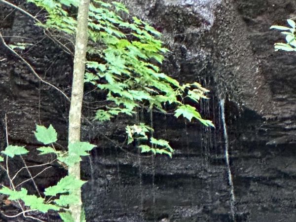 1225-1227 Oglethorpe Road, Jasper, GA 30143