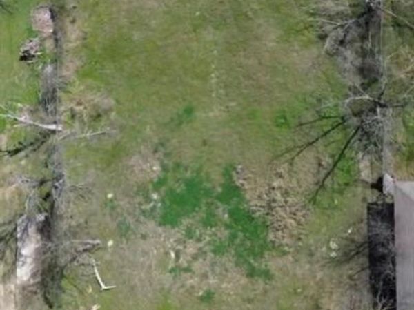 623 E Lumpkin Street , Meridian, TX 76665