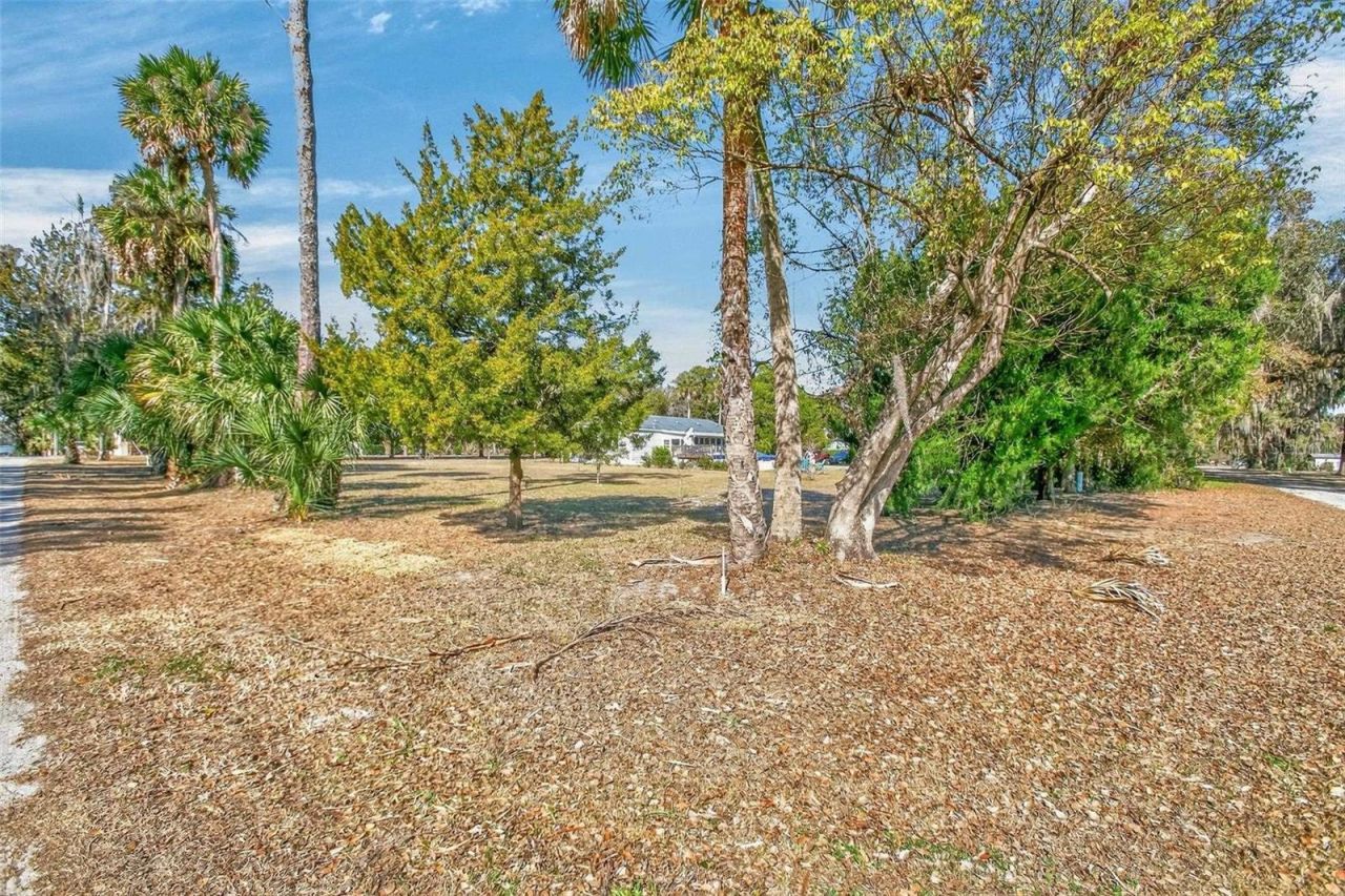 808 Front Street, Welaka, FL 32193 Photo