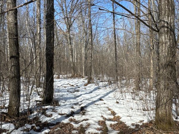 27XX 11th Avenue , Chetek, WI 54728