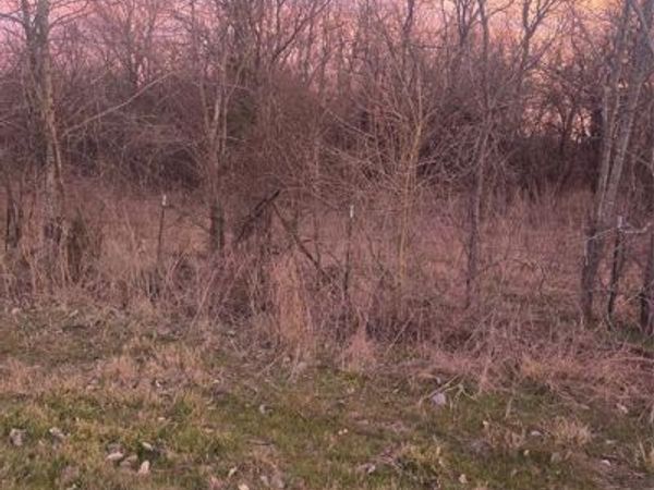 182 Shady Lane , Gordonville, TX 76245