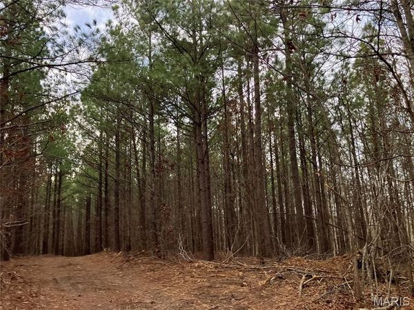 210 Madison CR 410 , Fredericktown, MO 63645