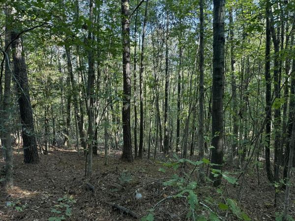 1028 Goddard Rd, Bear Creek, AL 35543