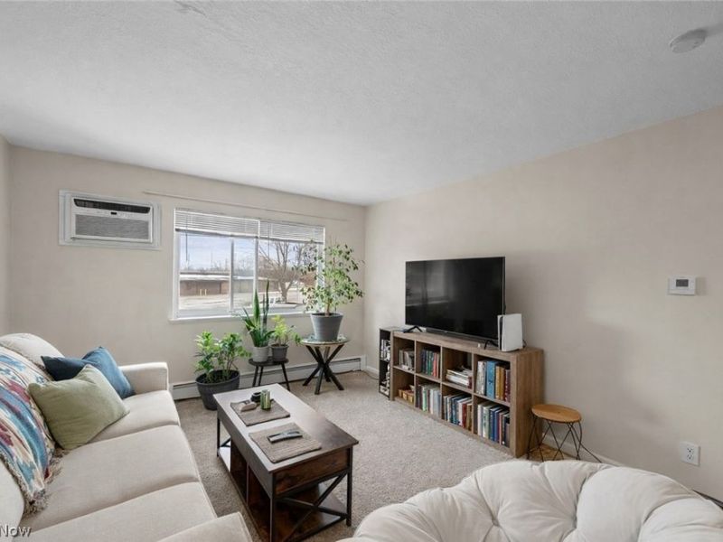 540 W College Street, Oberlin, OH 44074 Photo 13