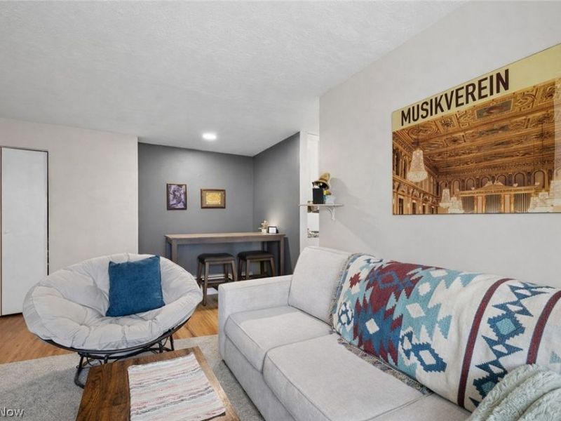 540 W College Street, Oberlin, OH 44074 Photo 14