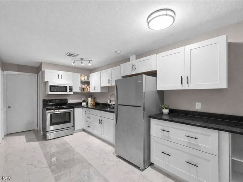 540 W College Street, Oberlin, OH 44074 Photo 15