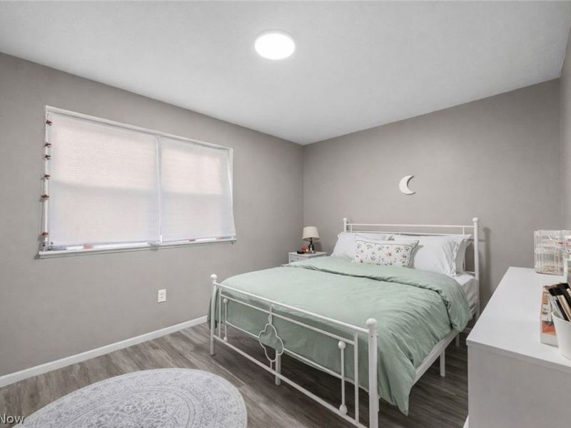 540 W College Street, Oberlin, OH 44074 Photo 16