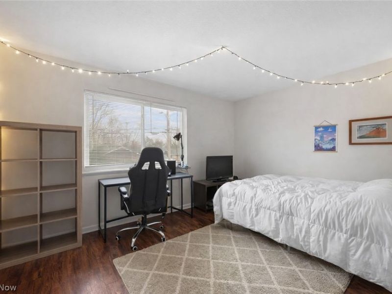 540 W College Street, Oberlin, OH 44074 Photo 21