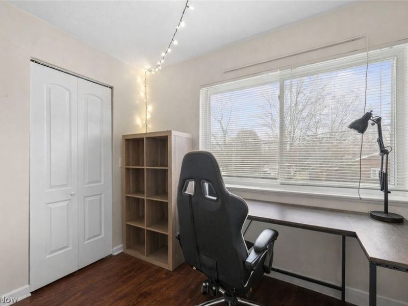 540 W College Street, Oberlin, OH 44074 Photo 22