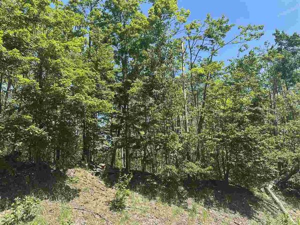 4080 West Ridge CT, Unit 2, Harbor Springs, MI 49740