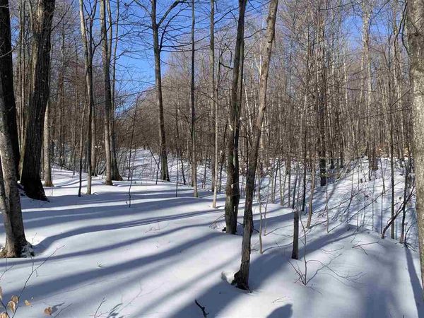 1412 Andover Club Drive, Unit 10, Harbor Springs, MI 49740