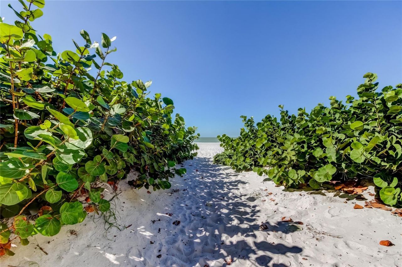 19530 Gulf Boulevard, Unit 4B, Indian Shores, FL 33785 Photo