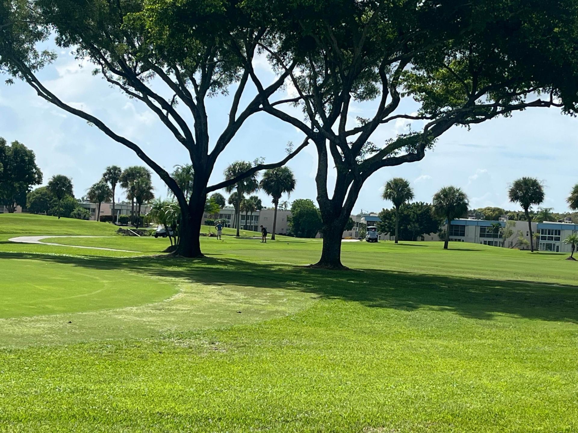 897 Flanders S, Unit 897, Delray Beach, FL 33484 Photo