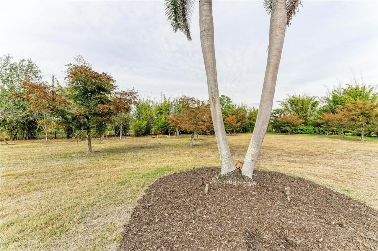 5348 Palangos Drive, Punta Gorda, FL 33982 Photo