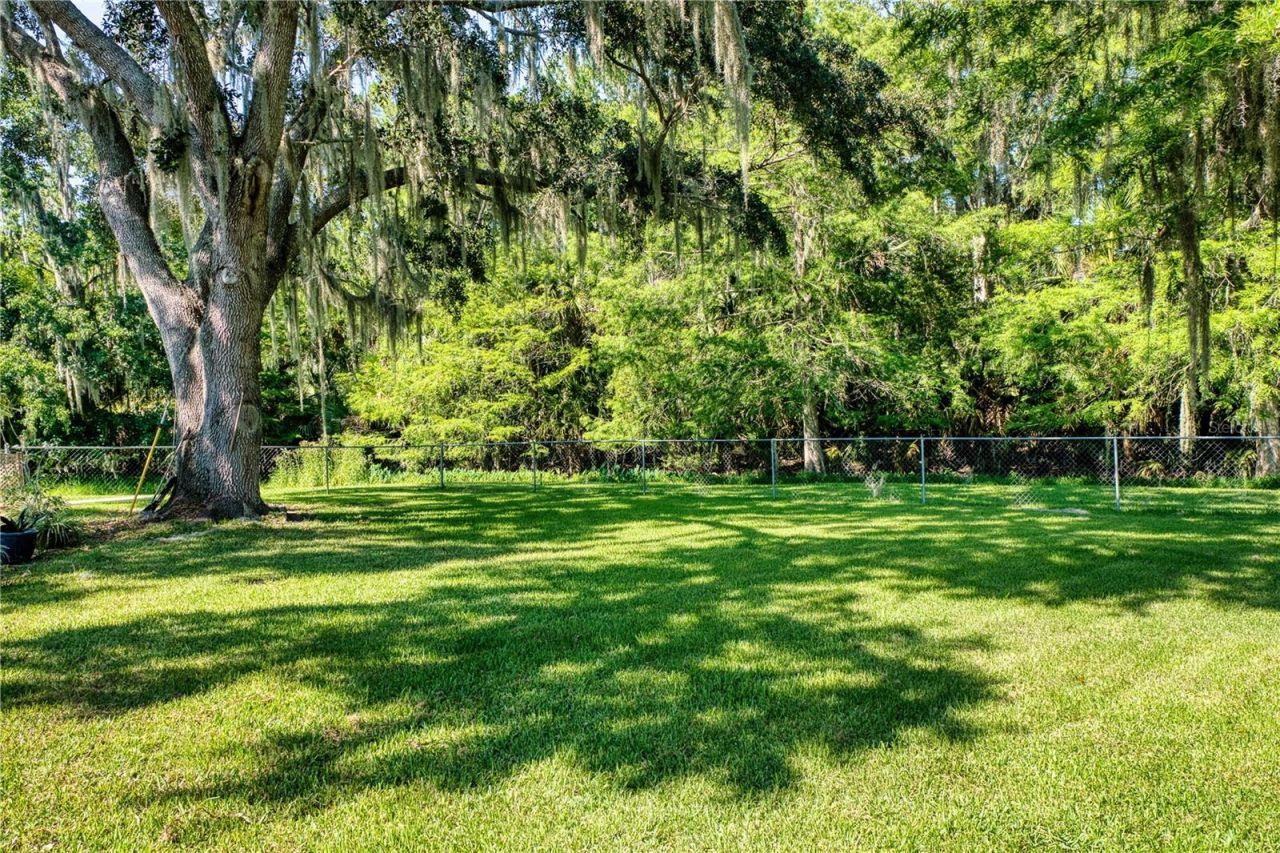 14 Black Oak Court, Palm Coast, FL 32137 Photo