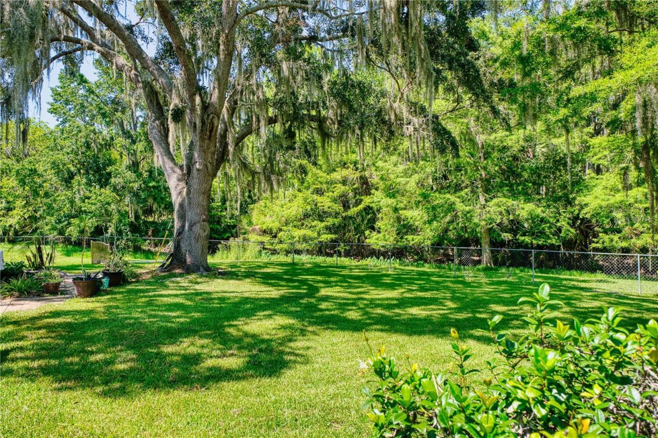 14 Black Oak Court, Palm Coast, FL 32137 Photo