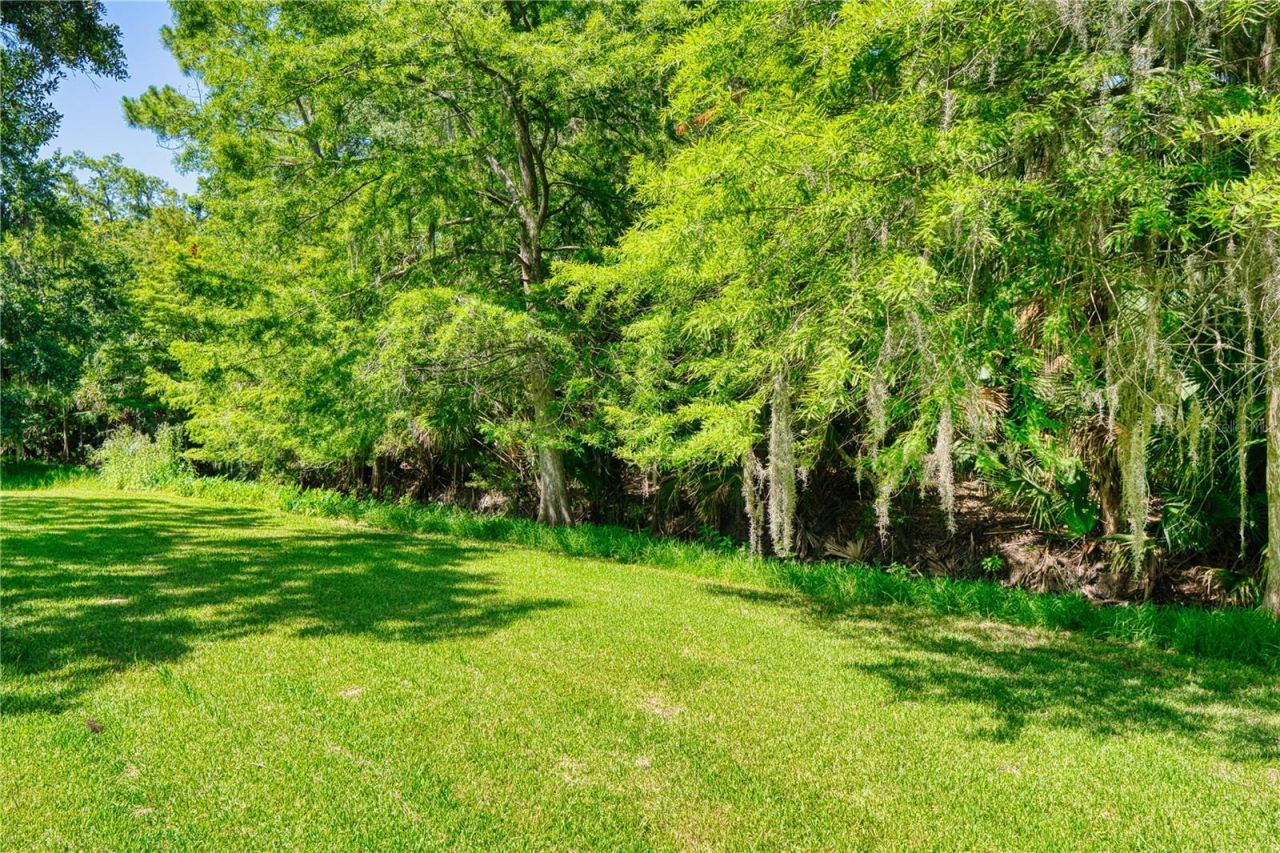 14 Black Oak Court, Palm Coast, FL 32137 Photo