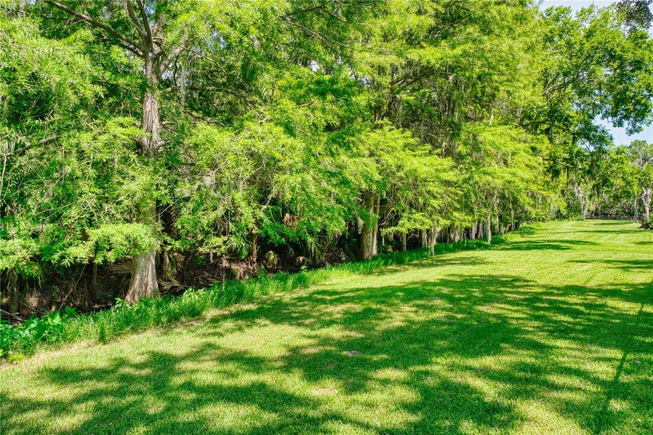 14 Black Oak Court, Palm Coast, FL 32137 Photo