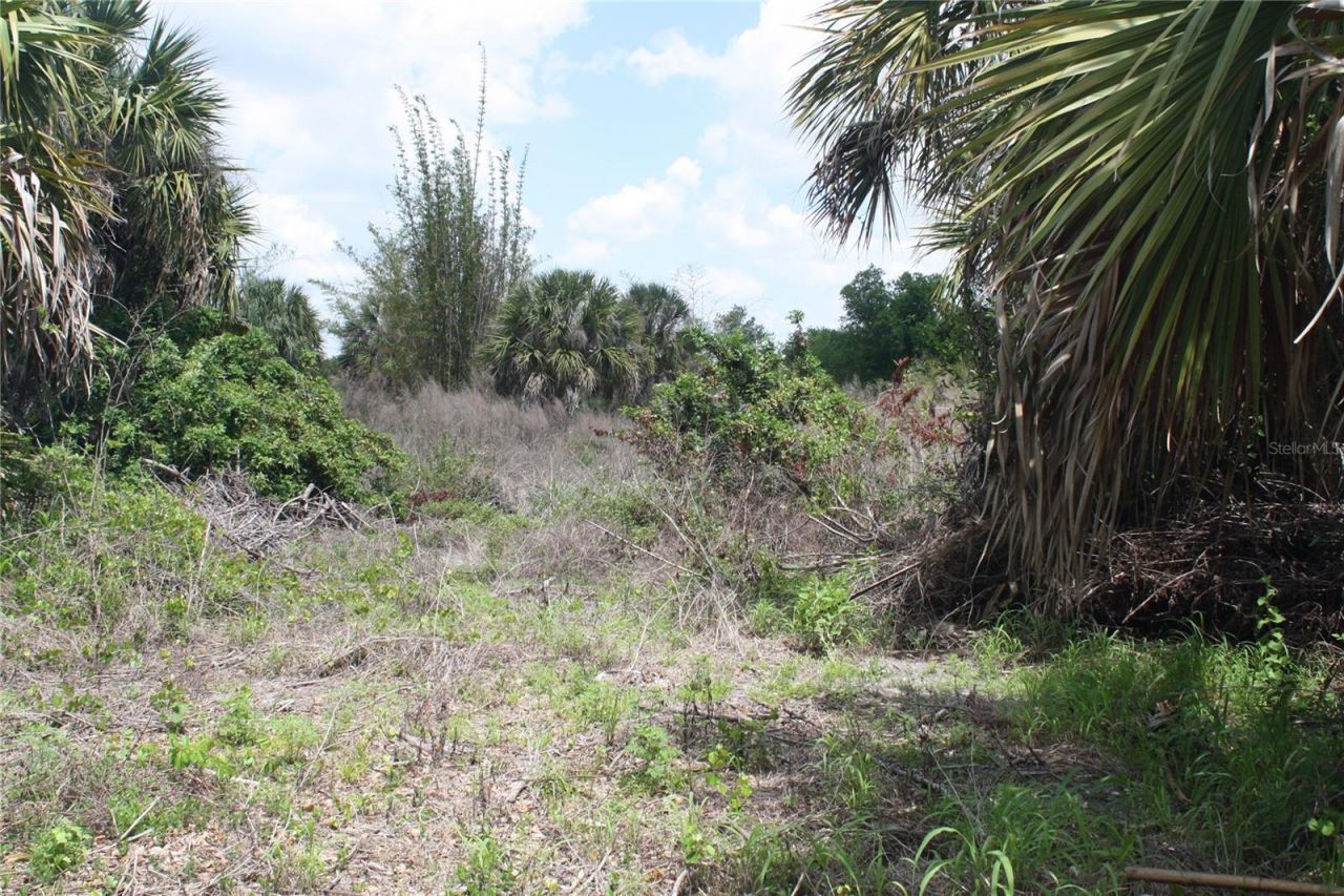 7308 Austrian Boulevard , Punta Gorda, FL 33982 Photo