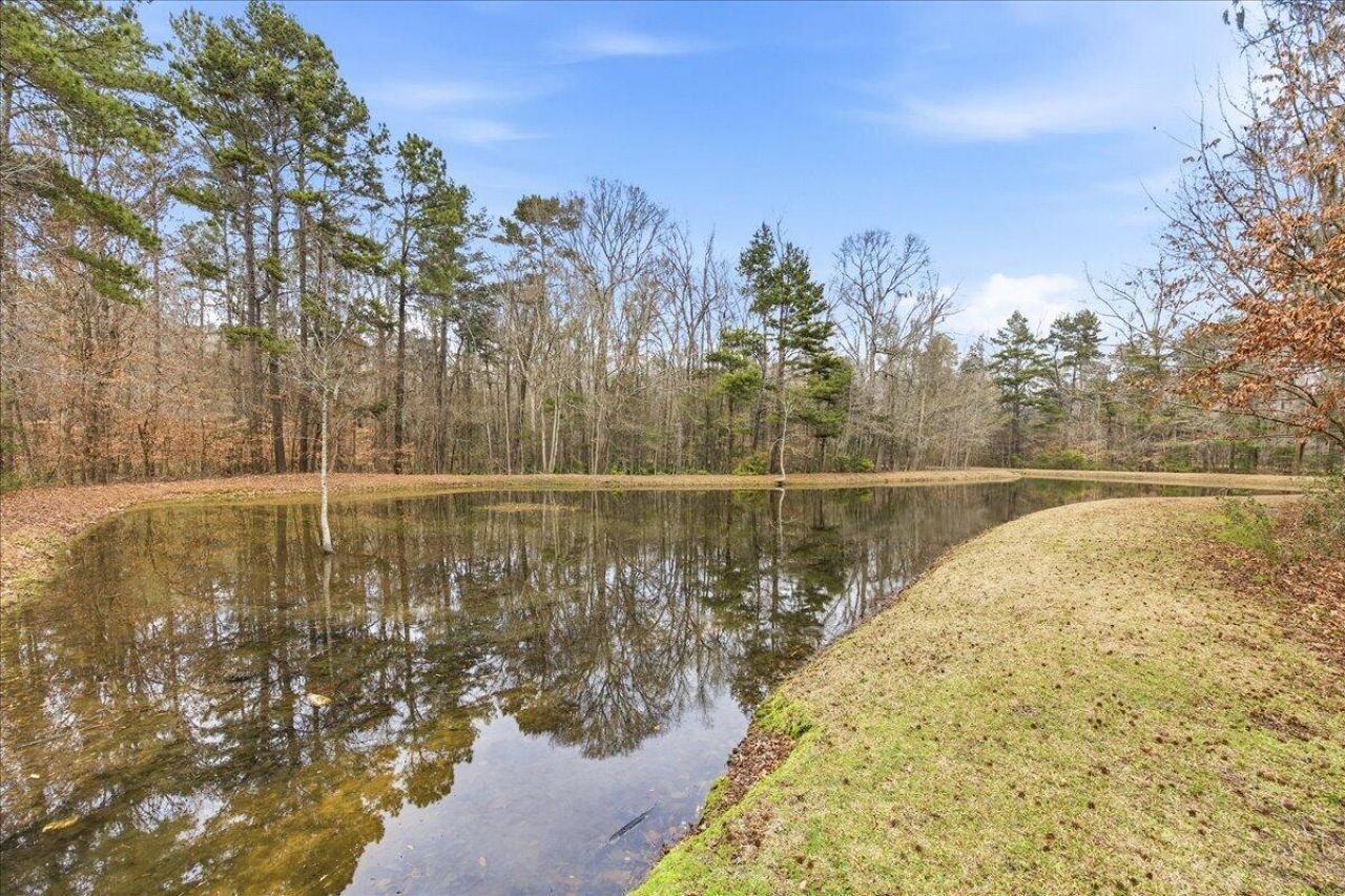 293 Chemistry Circle Photo 29