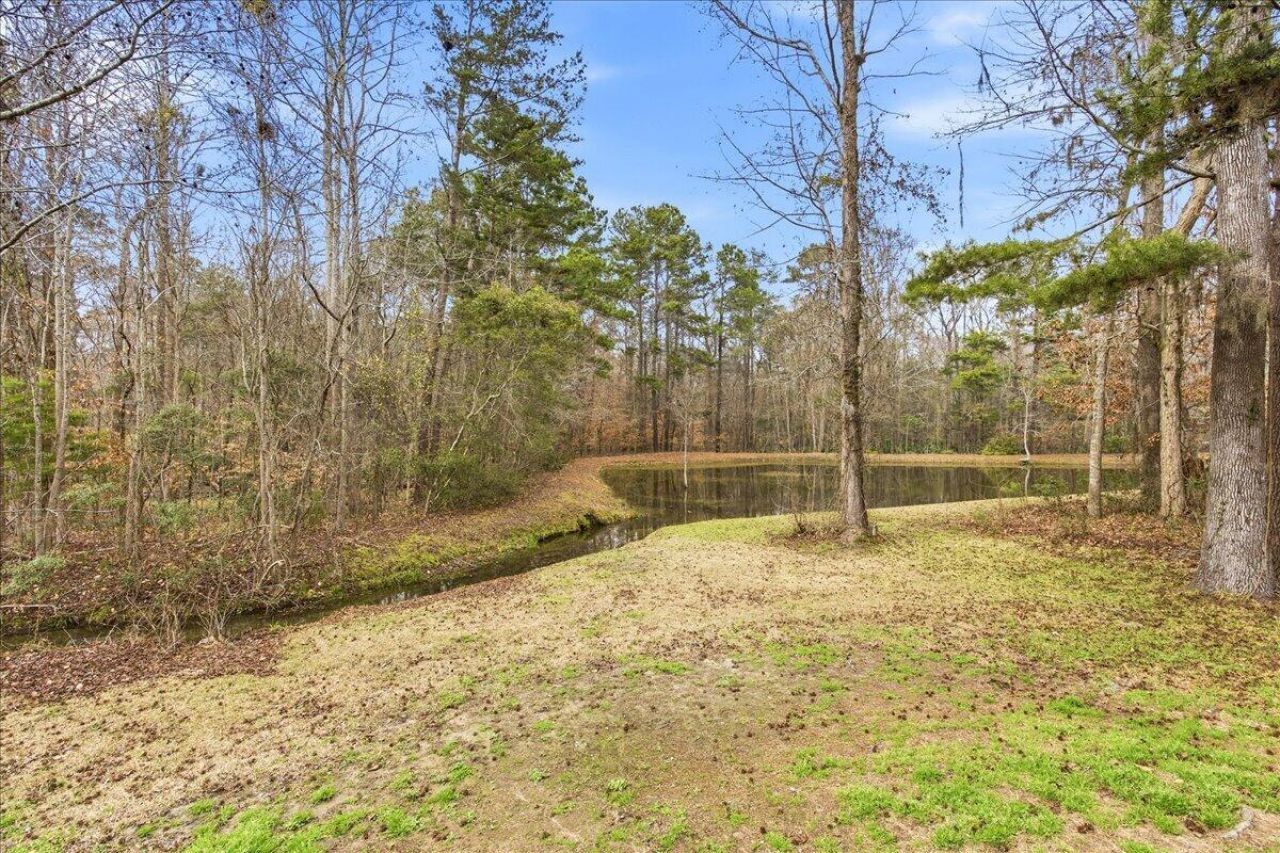 293 Chemistry Circle Photo 31