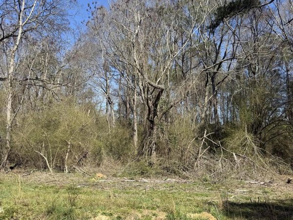 4.6 AC Morgantown Rd., Foxworth, MS 39483