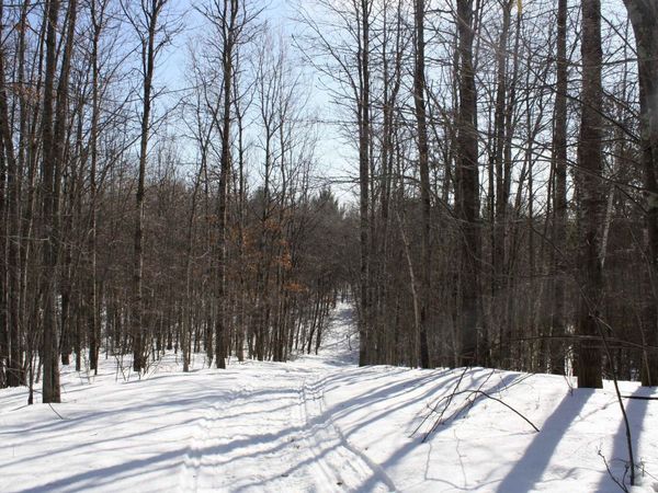 On W Rapids Road, Lake Tomahawk, WI 54539