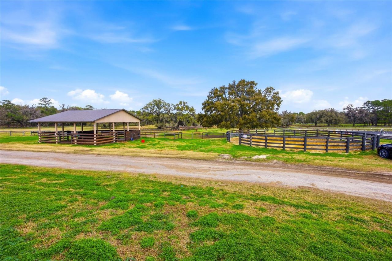 6025 NW 115th Avenue, Ocala, FL 34482 Photo