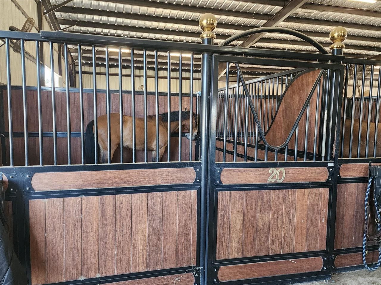 6025 NW 115th Avenue, Ocala, FL 34482 Photo