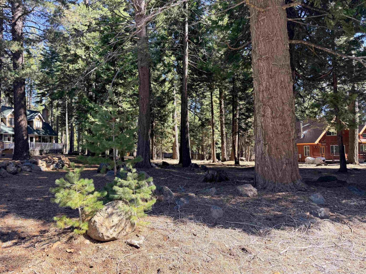 722 Conifer Trail, Lake Almanor, CA 96137 Main Photo