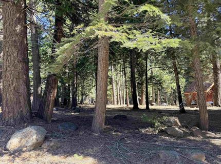 722 Conifer Trail, Lake Almanor, CA 96137 Photo