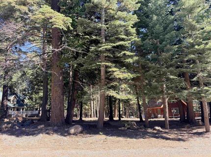 722 Conifer Trail, Lake Almanor, CA 96137 Photo