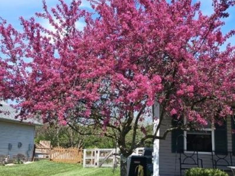 2048 Apple Knoll Lane, Monroe, OH 45044 Photo 42