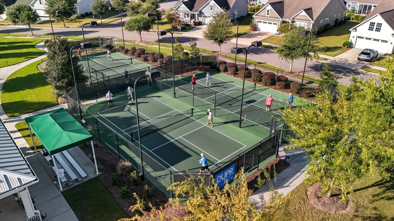 3033 Aura Lane Photo 45