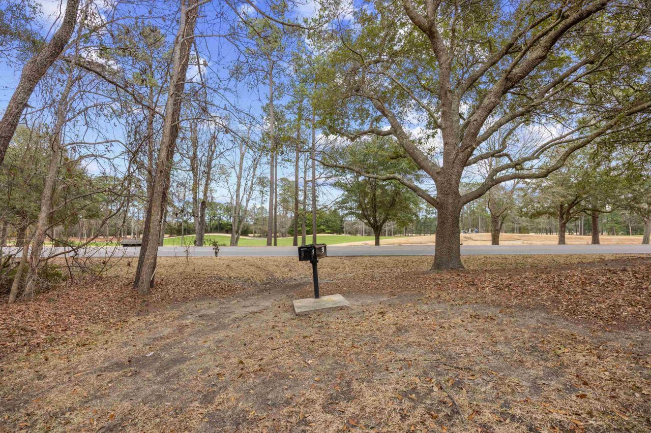 1135 Blue Stem Dr. Photo 37