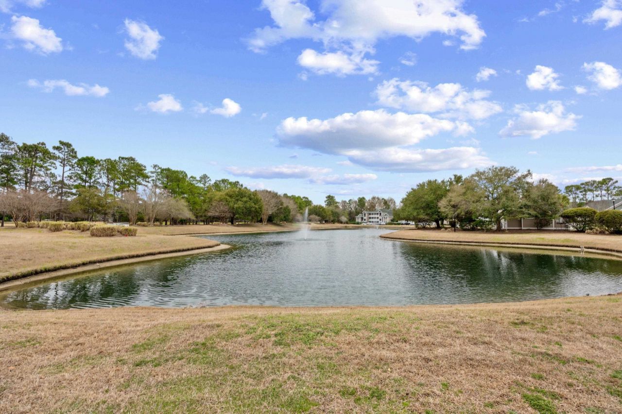 1135 Blue Stem Dr. Photo 38