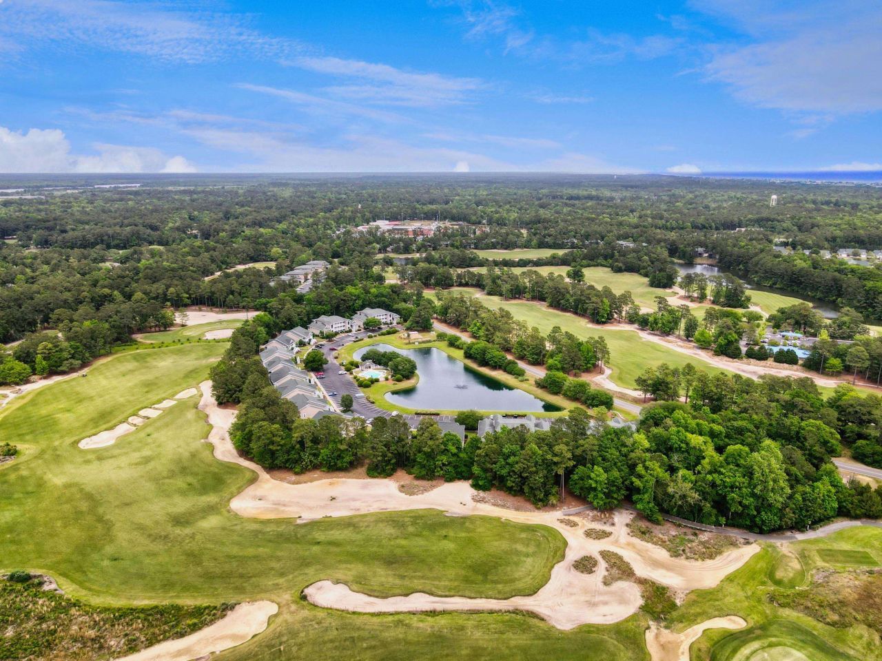 1135 Blue Stem Dr. Photo 52