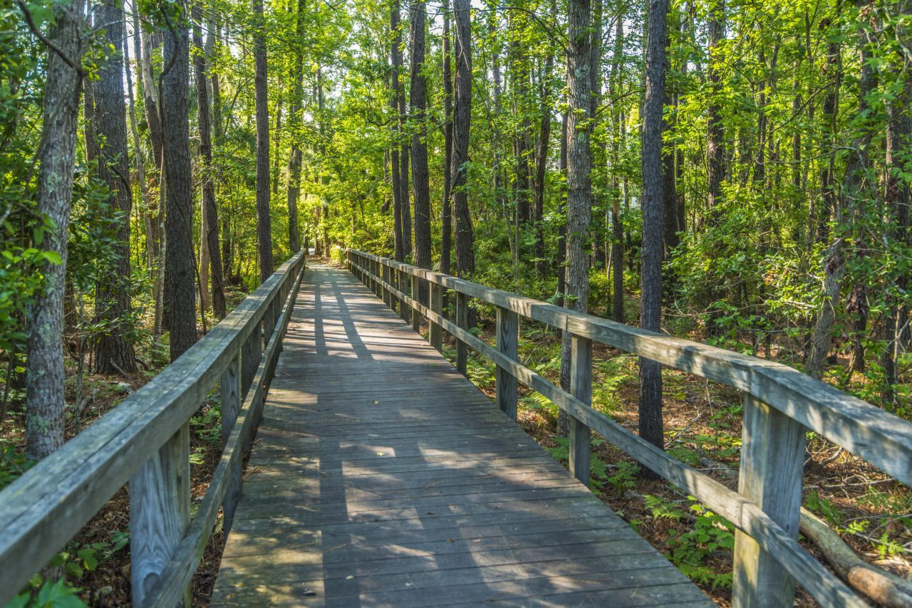 3004 Treadwell Street Photo 59