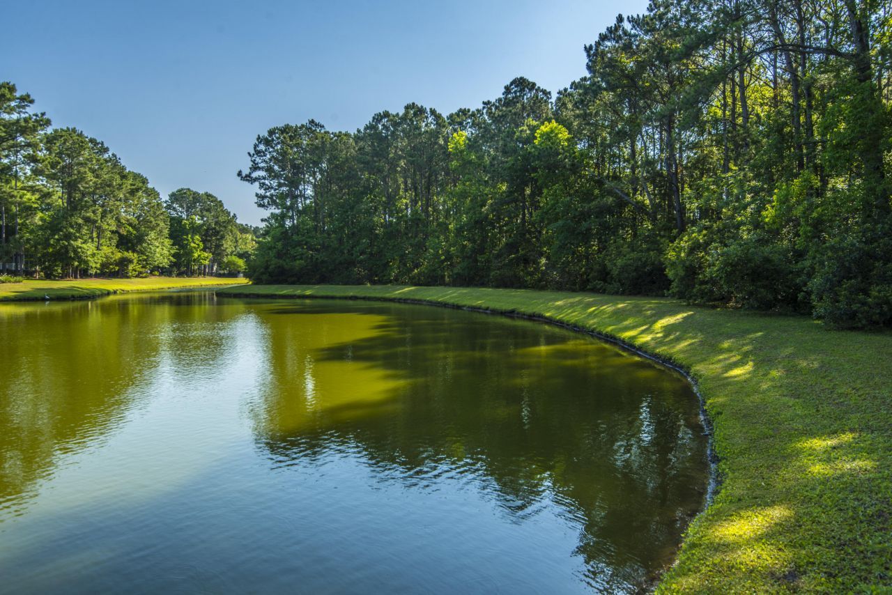 3004 Treadwell Street Photo 62