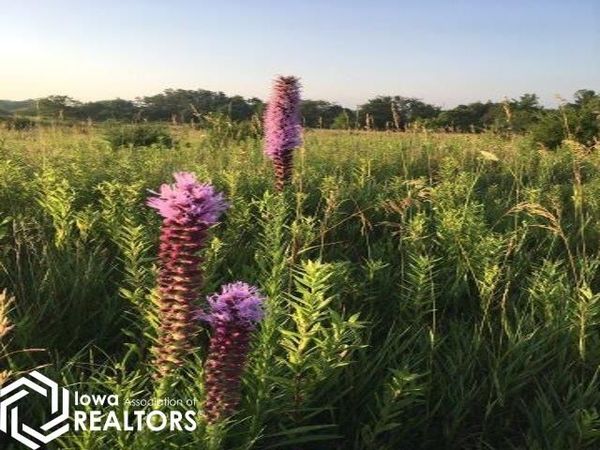 1991 Sunrise Circle, Fairfield, IA 52556