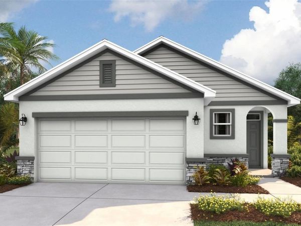 8817 CLEAR VIEW STREET, PARRISH, FL 34219