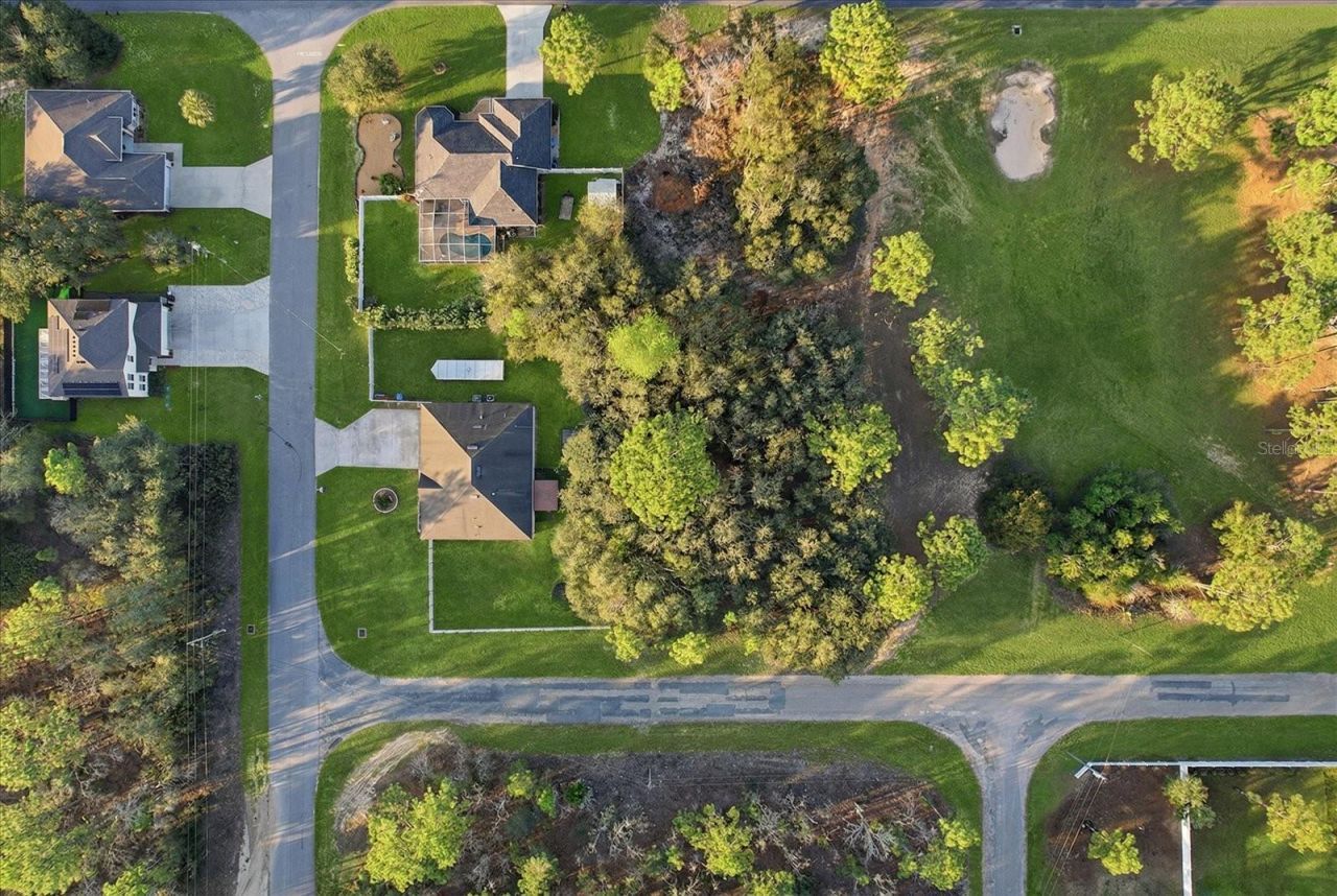 7185 N Farmington Terrace, Citrus Springs, FL 34434 Photo