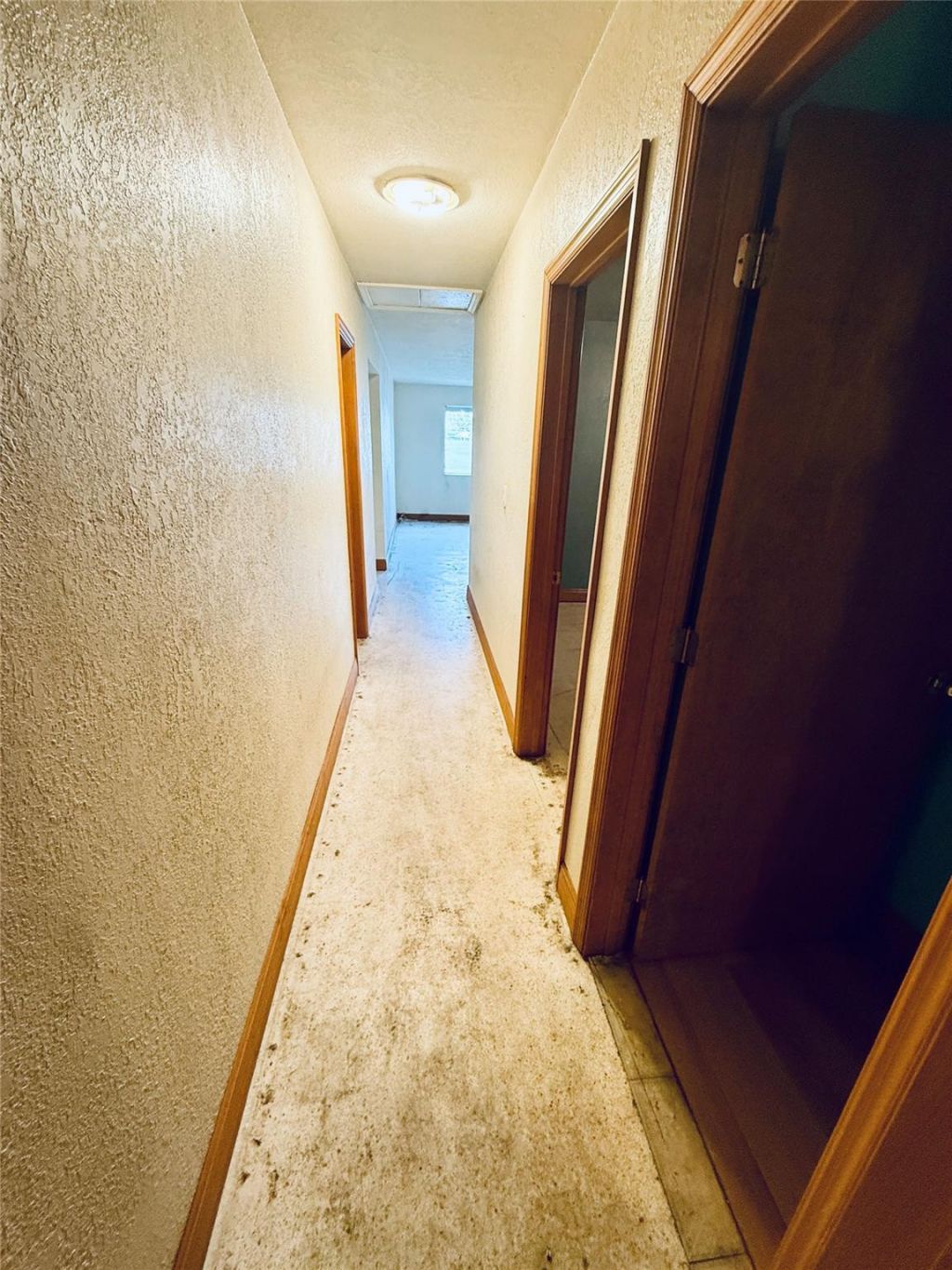 5349 Balsam Terrace, Plantation, FL 33317 Photo