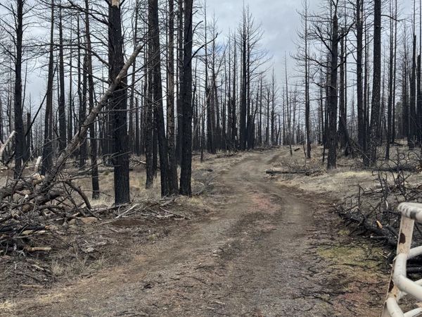 1100 Yellow Pine Road, Bly, OR 97622