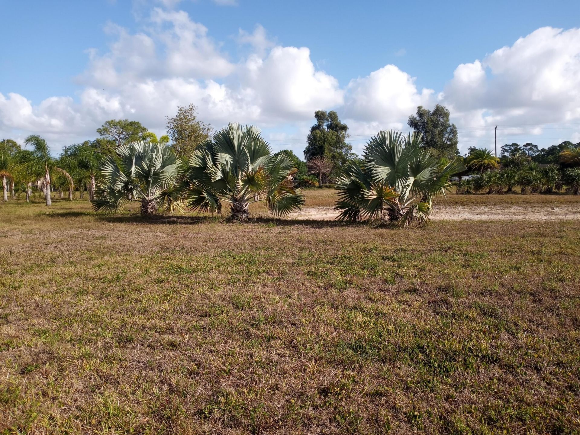 4500 SW Boatramp Avenue, Palm City, FL 34990 Photo